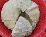 Foto langkah ke 1 dari resep Tumis Kol Ayam Sehat untuk Hari Gizi.