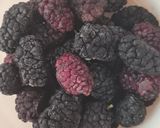 Foto del paso 1 de la receta: Licuado de moras silvestres y yogur casero 🩷🤍