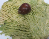 Foto del paso 1 de la receta: Tartar de aguacate