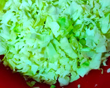 முட்டைக்கோஸ் பால்ஸ் ரெசிபி ஸ்டேப் 1 புகைப்படம்