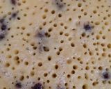 Foto langkah ke 4 dari resep Martabak Manis Tanpa Telor (Lembut Bersarang).