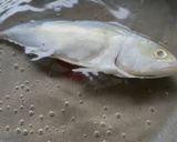 Gambar langkah 1 resipi Ikan Rebus Air Asam Picit.