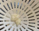 Foto del paso 5 de la receta: Kéfir de leche de búlgaros