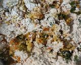 લેફ્ટઓવર ખીચડી થેપલા (Leftover Khichdi Thepla Recipe In Gujarati) રેસીપી સ્ટેપ1ફોટો