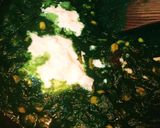 A picture of step 4 of Corn Palak Curry.
