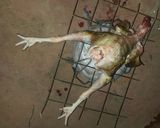 A picture of step 5 of Smoked chicken.