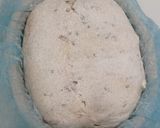 Foto langkah ke 16 dari resep Wijen Jinten Hitam Chili Flakes Cheese Sourdough Bread (Open Bake Method).