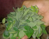 முருங்கை கீரை கேழ்வரகு அடை ரெசிபி ஸ்டேப் 3 புகைப்படம்