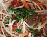 A picture of step 10 of Spicy Raw Papaya Salad.