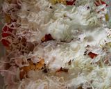 Foto del paso 8 de la receta: Lasagna de Pollo y Verduras 🥕🥦🍅