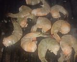 Foto langkah ke 3 dari resep Udang Bakar Madu.