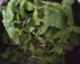 A picture of step 1 of Jaggery and mint sharbat.