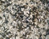 A picture of step 1 of Khichdi (Urad Dal Khichdi).