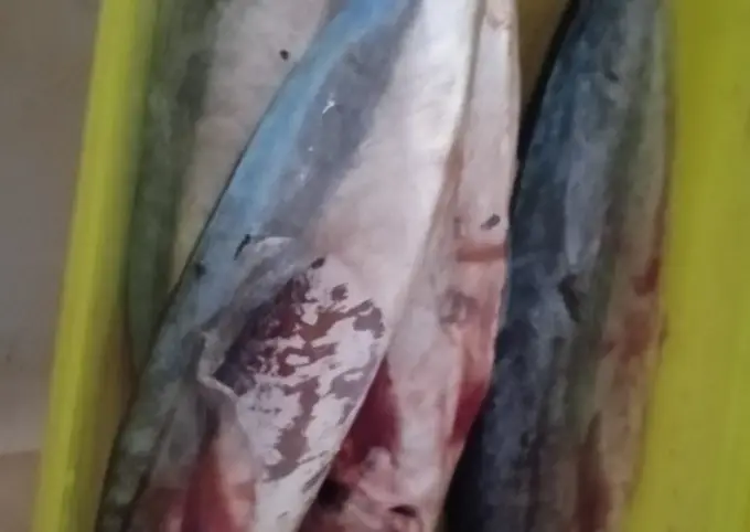 Langkah-langkah untuk membuat Cara membuat Ikan layang goreng rumahan