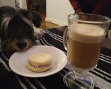 Foto del paso 6 de la receta: Alfajores de maizena