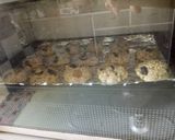 A picture of step 6 of Healthy Banana & oats cookies.
