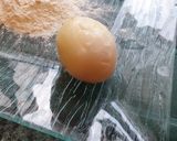 Une image de l'étape 2 de Beignet d'oeuf.