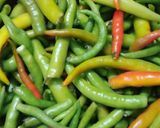 मिर्च का अचार (Mirch ka achar recipe in hindi) रेसिपी चरण 1 फोटो