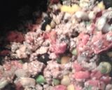 A picture of step 11 of My Ultimate spaghetti, or Spaghetti with the works..