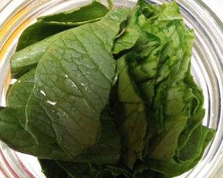 Es Cendol Pakcoy - Step 1