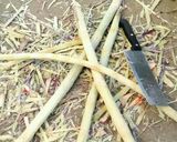 A picture of step 1 of How to Make Brown Sugar from Sugarcane at Home.