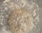 A picture of step 4 of No- knead bread.