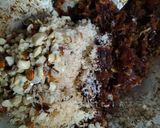 ખજૂર બોલ્સ (Khajoor balls Recipe in Gujarati) રેસીપી સ્ટેપ3ફોટો