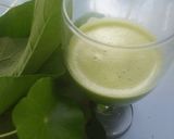 Foto langkah ke 3 dari resep Jus sawinenaspegagan.