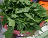 Foto langkah ke 1 dari resep Oseng-oseng daun pepaya+teri no pahit ya.