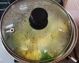 A picture of step 7 of Easy One-Pot Boiled Dumplings in Chicken Broth.