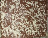 Foto langkah ke 8 dari resep Brownies lembut #StepByStep #SeninSemangat.