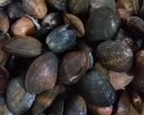 Foto langkah ke 1 dari resep 8. Kerang rebus simpel.