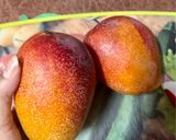 صورة لخطوة 10 من وصفة كيك المانجا والكريمه 🥭