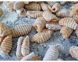 Foto del paso 7 de la receta: Ñoquis caseros de Zanahoria y Harina de Garbanzos