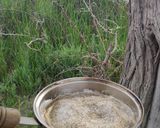 عکس مرحله 1 از دستور شیر چای