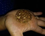 Foto del paso 5 de la receta: Galletitas de avena con cacao