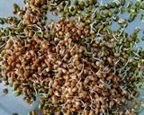 સ્પ્રાઉટ ચાટ (Sprout Chaat Recipe In Gujarati) રેસીપી સ્ટેપ1ફોટો