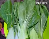 Foto langkah ke 1 dari resep Garlic Pakcoy.