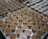 Foto langkah ke 1 dari resep Puding lumut gula merah untuk snack box.