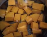 Foto del paso 1 de la receta: Crema de zapallo, pumpkin cream, potage