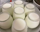 Foto del paso 5 de la receta: Yogurt Natural Extra Firme en Yoghurtera Moulinex