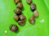 Pasta a la puttanesca (Fácil)