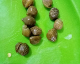 Foto del paso 3 de la receta: Pasta a la puttanesca (Fácil)