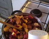 Foto del paso 1 de la receta: Mermelada de Ciruela, piña, chía y stevia(especiada)