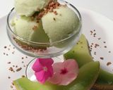 Foto del paso 4 de la receta Helado de melón elaborado con la Monsieur cuisine Plus