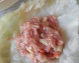Foto del paso 4 de la receta: Rollitos de Repollo con carne
