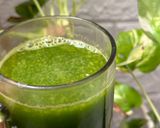 Foto langkah ke 2 dari resep Green Juice.