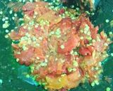 Foto langkah ke 2 dari resep Sambel bawang.
