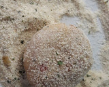 Foto del paso 9 de la receta: Croquetas de atún 🐟 🧆