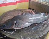 Hình bước làm 1 của món CÁ LĂNG MỘT NẮNG NƯỚNG MUỐI ỚT